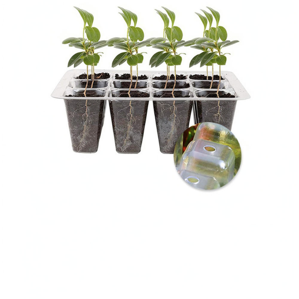 Indoor Garden Kit - Kit de démarrage pour lampes de