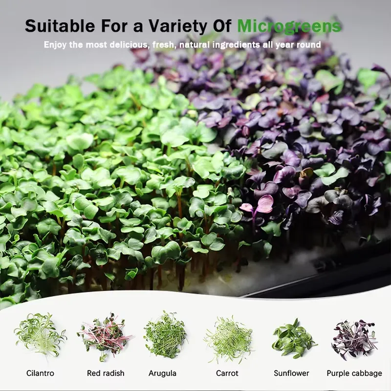 Système de culture hydroponiqu - Self Watering Planter avis et prix