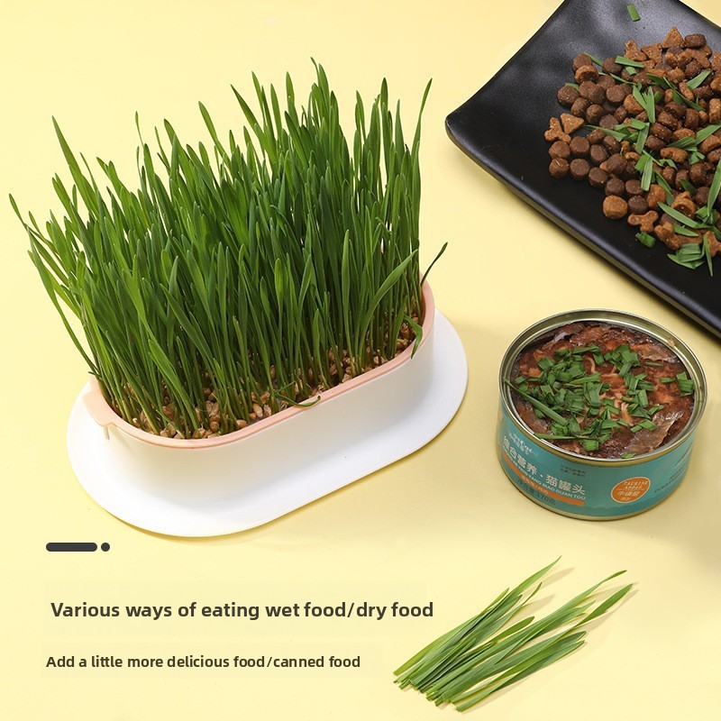 Fournitures pour animaux de co - Hydroponic Grow Pod avis et prix