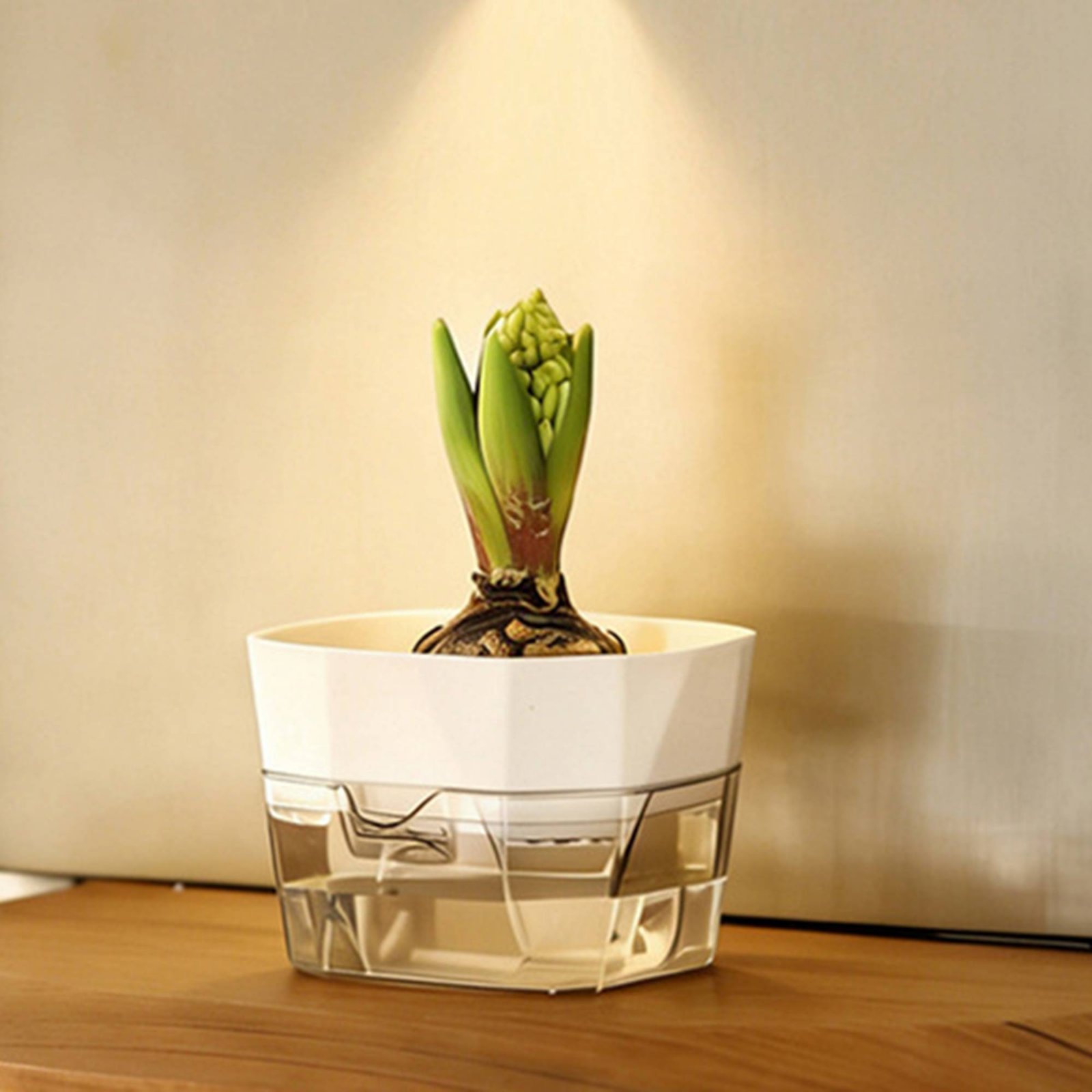 Vase hydroponique à 2 niveaux  - Automatic Watering avis et prix