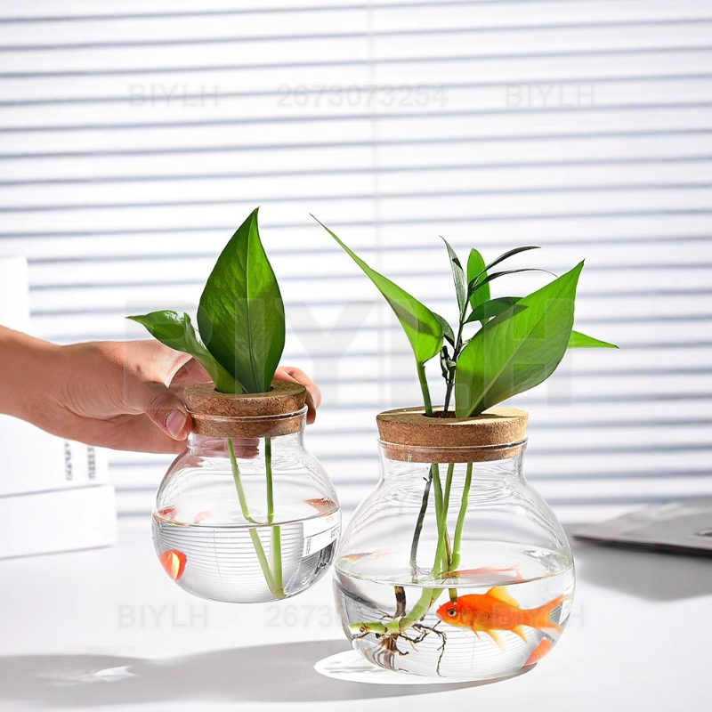 Vase en verre pour plantes hyd - Hydroponic Grow Pod avis et prix