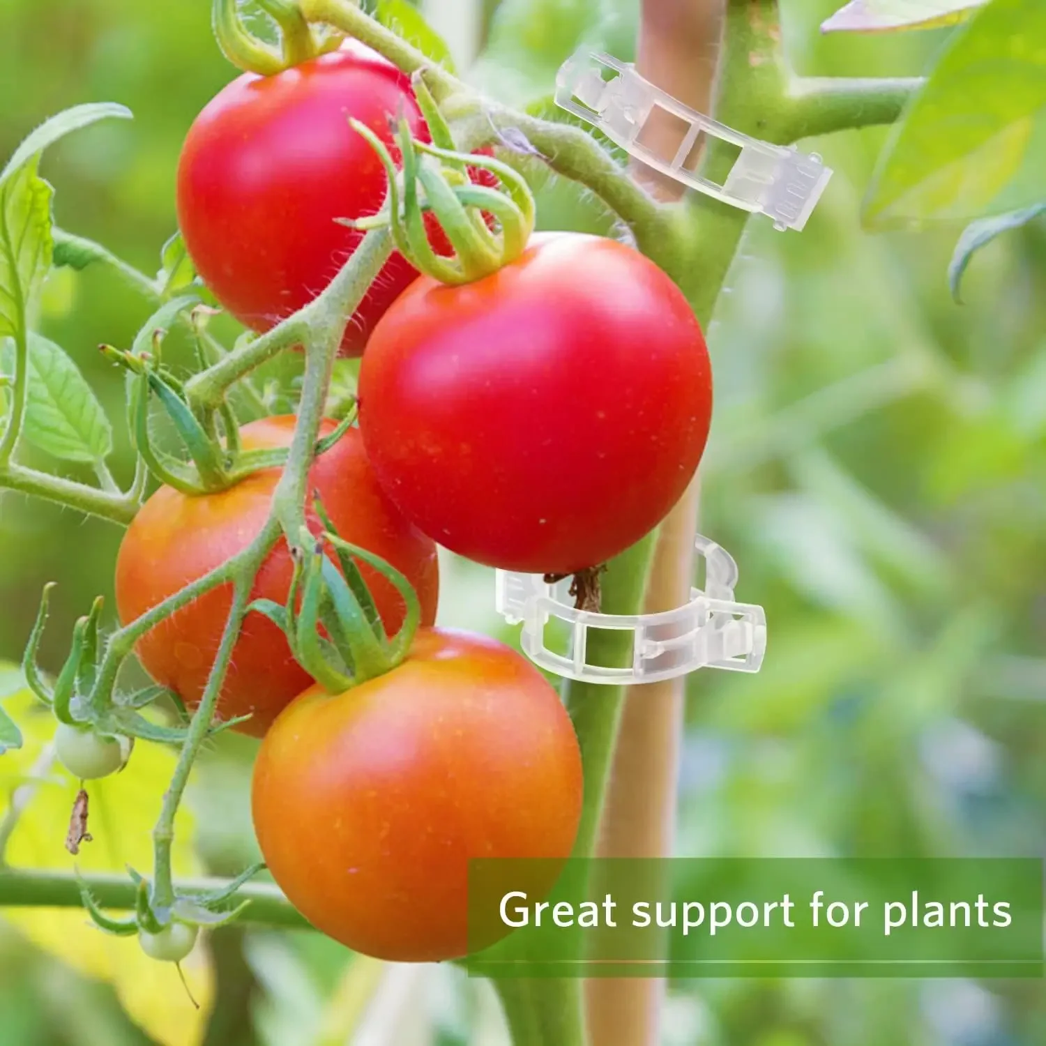 Clips de support pour plantes  - Smart Garden Kit avis et prix