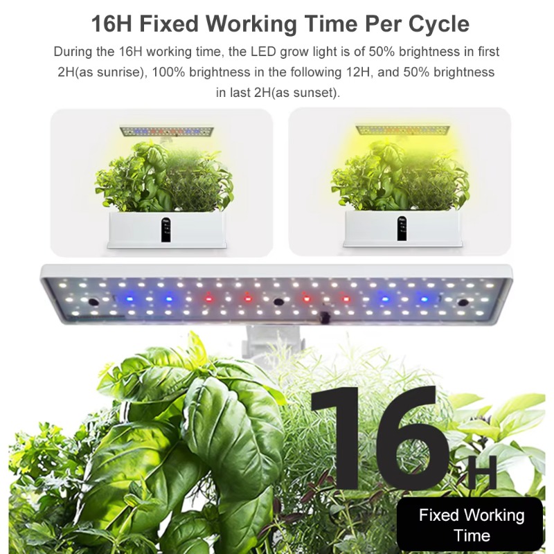 Système de culture hydroponiqu - Indoor Garden Kit avis et prix