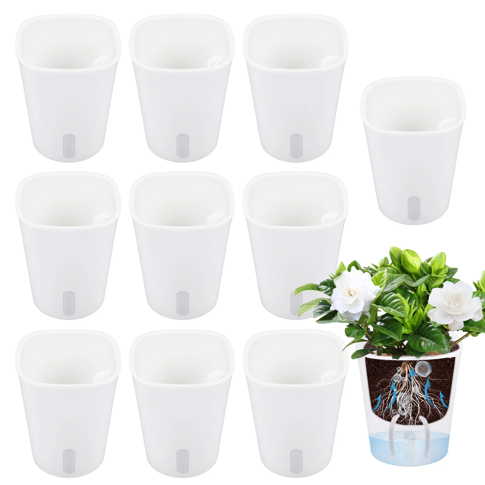 Lot de 10 pots de fleurs auto- - Hydroponic Grow Pod avis et prix