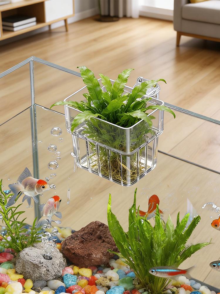 Support transparent pour plant - Hydroponic Grow Pod avis et prix