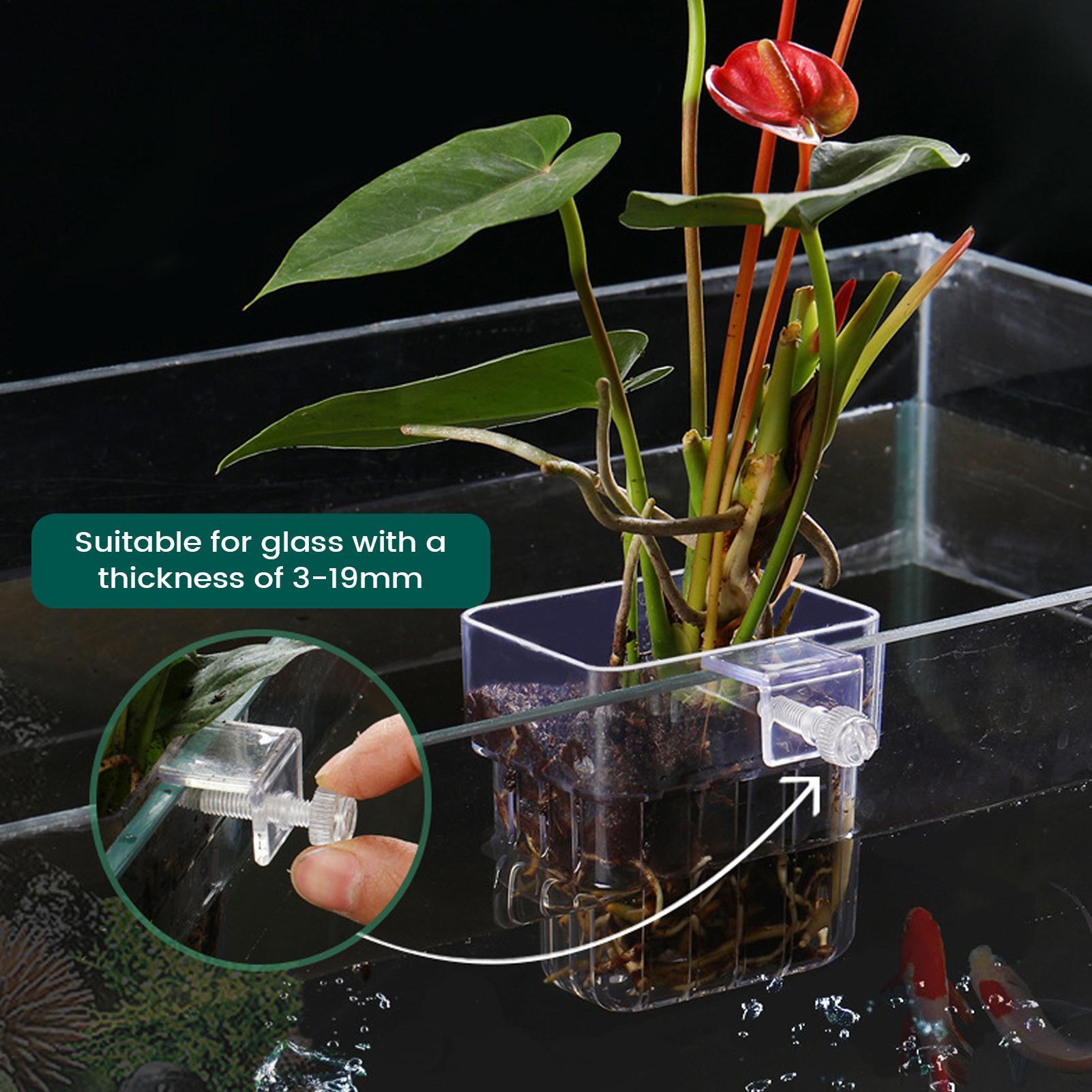 Support transparent pour plant - Hydroponic Grow Pod avis et prix