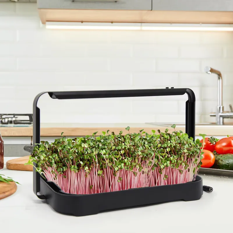 Bac hydroponique pour micro-lé - Indoor Garden Kit avis et prix