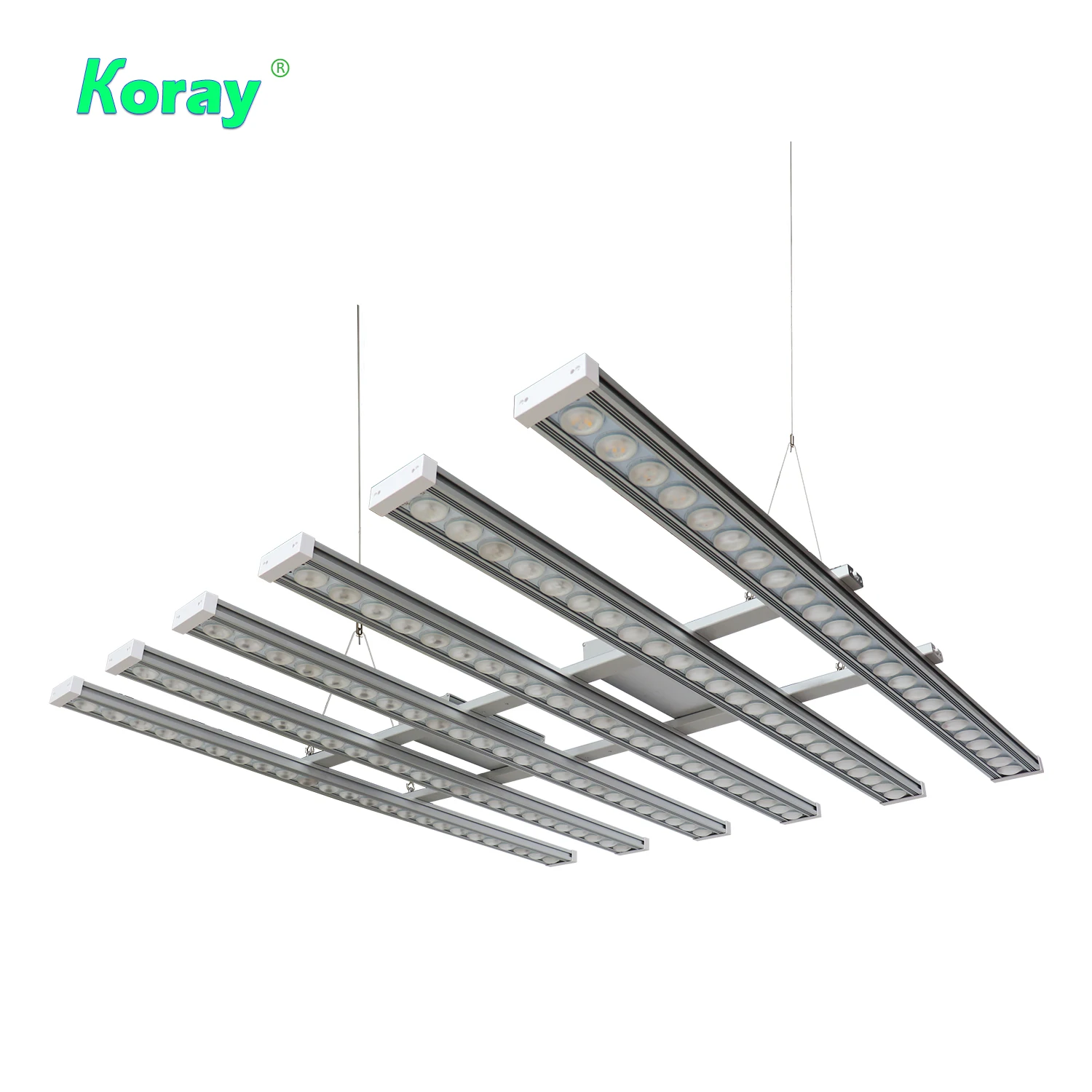 Koray 900W Lampe de culture in - Grow Light Led avis et prix