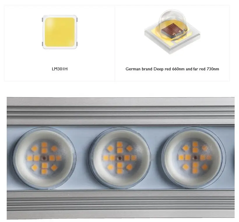 Koray 900W Lampe de culture in - Grow Light Led avis et prix