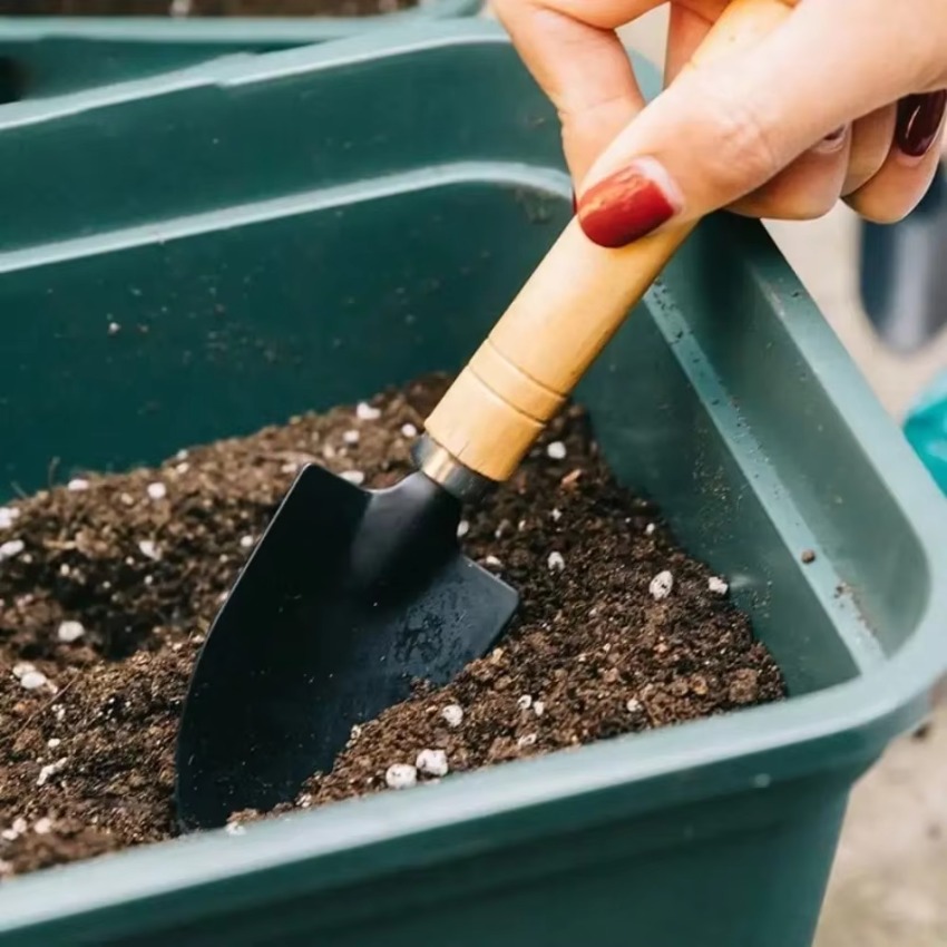 Ensemble de 3 mini-outils de j - Indoor Garden Kit avis et prix